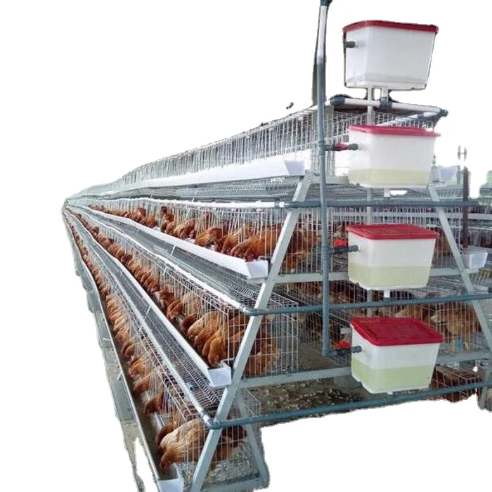 Husbandry Poultry farm laying hens equipment system battery chicken layer cage for sale