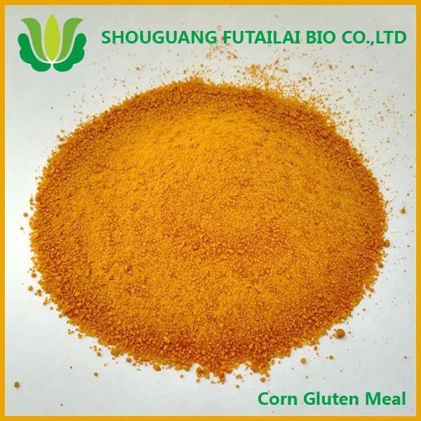 
Corn gluten meal manufacturer fish meal price aquarium fish exporter for animal feed 