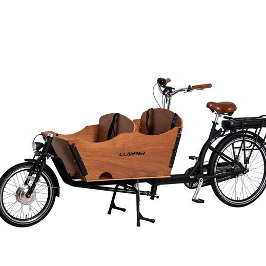 Family electric adult cargo bike carry kids/Mother used cargo tricycle/bicycle