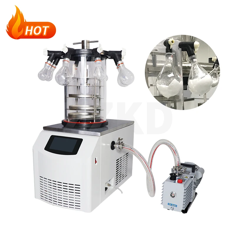 Manufacture Price FD-10N Benchtop Lab Home Use Freeze Dryer Lyophilizer for Sale