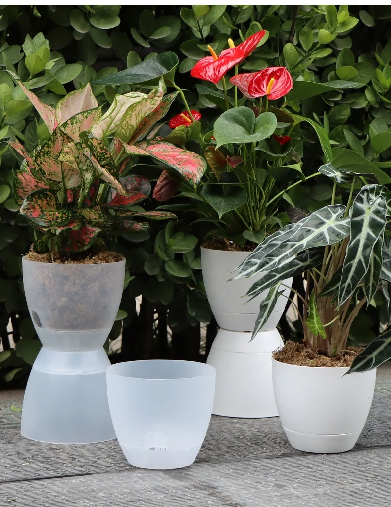 Clear Self Watering Pots for Indoor Plants Plastic Transparent Orchid Plant Pots with Drainage Holes