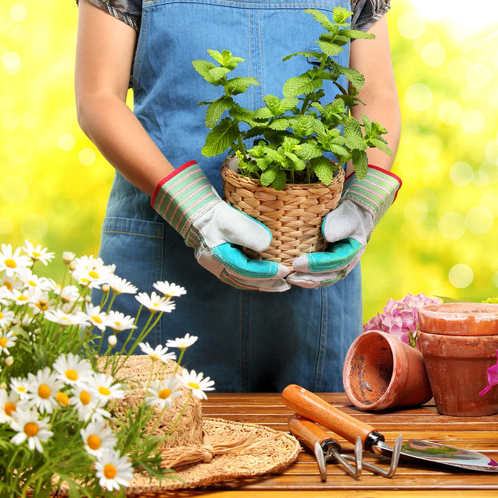 Breathable Touch Screen Spandex Nubuck Leather Palm Flower Printed Ladies Planting Gardening Working Gloves for Women