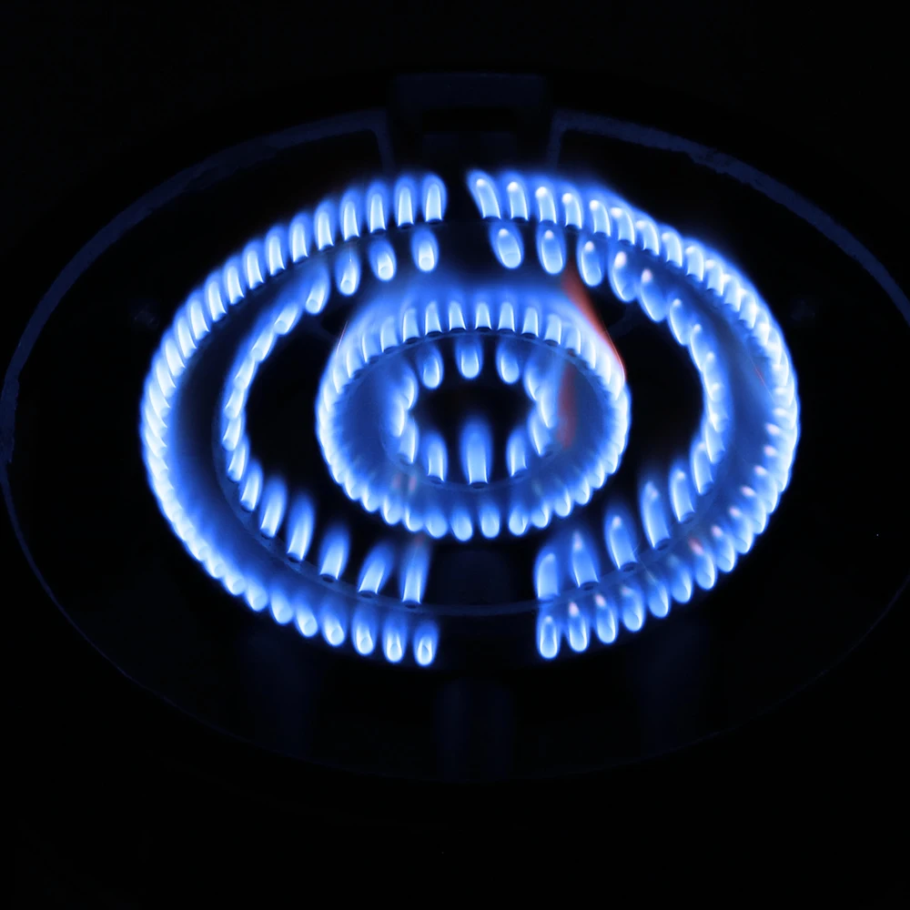 Gas Stove Cast Iron Burner Burners Cooker Stainless Steel