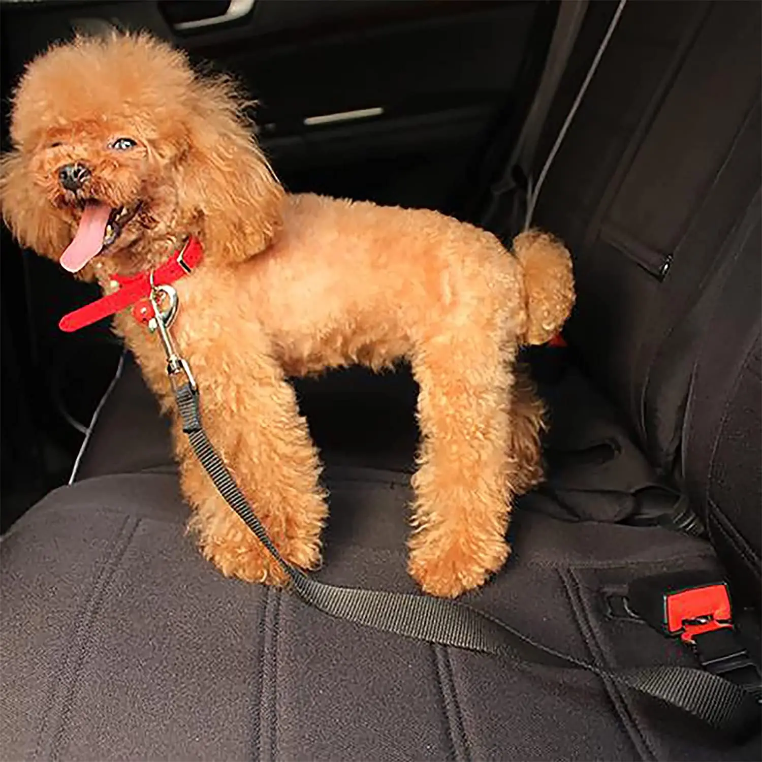 Dog Seat Belt Retractable Dog Car Seatbelts Adjustable Pet Seat Belt for Vehicle Nylon Pet Safety Seat Belts Car Harness for Dog