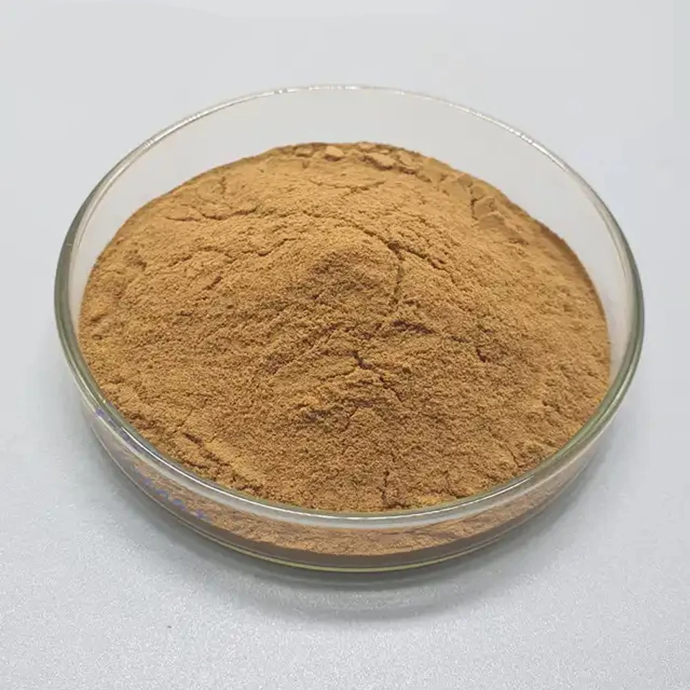 High Quality Polysaccharide 30% Oyster Mushroom Extract