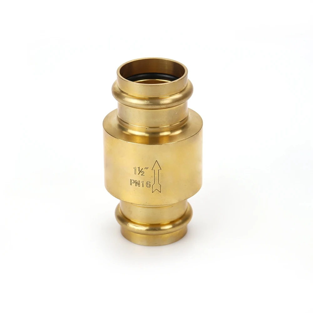 OEM ODM Chinese factory Press Check Valve Lead Free Brass Valve
