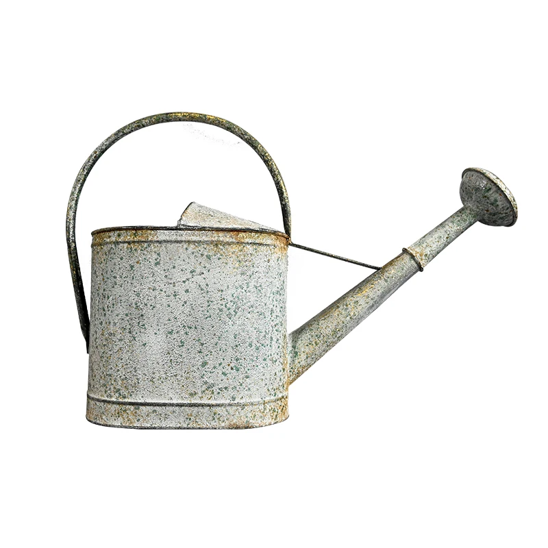 Plant Watering Can Portable Water Tank Garden Waterer Gardening Tools Steel Designs Home Garden