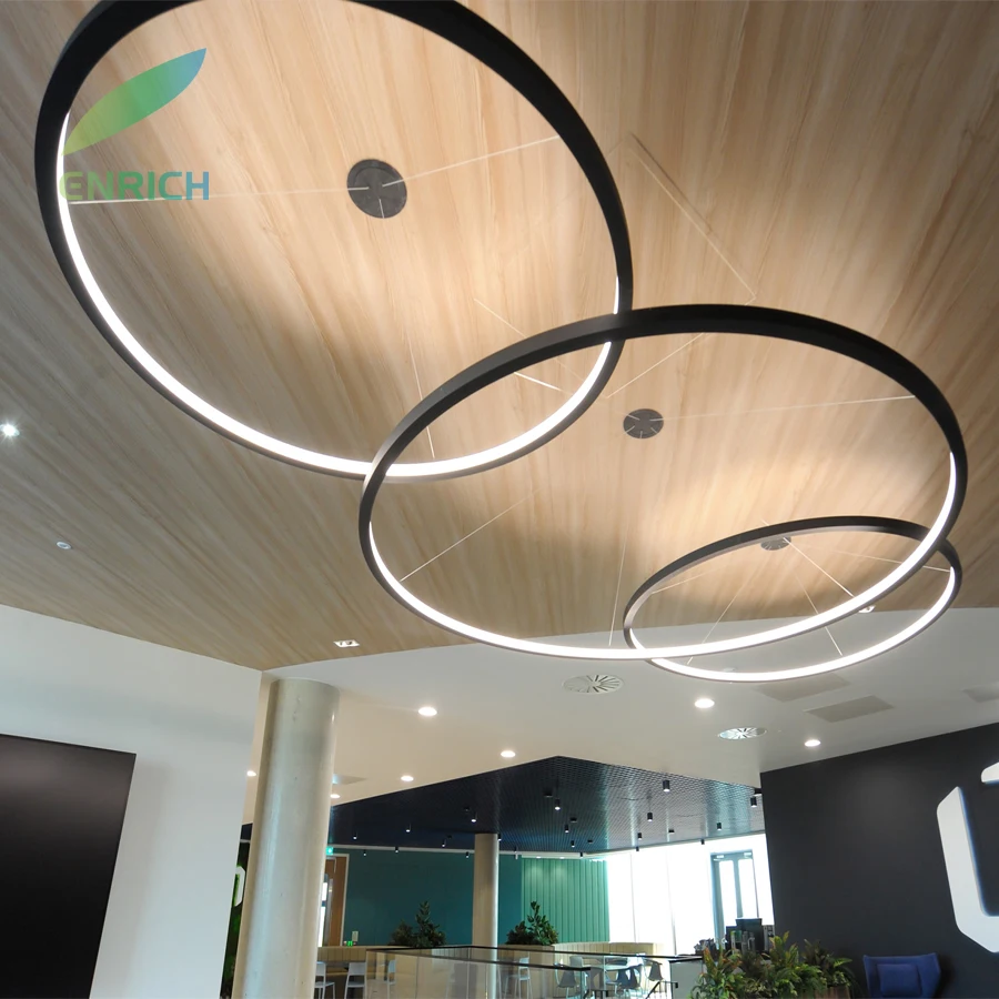 0.6m 0.9m 1.2m Inner Lighting Suspended LED Circle Ring Hanging Light with Curved Aluminum Profile for Office Gym School