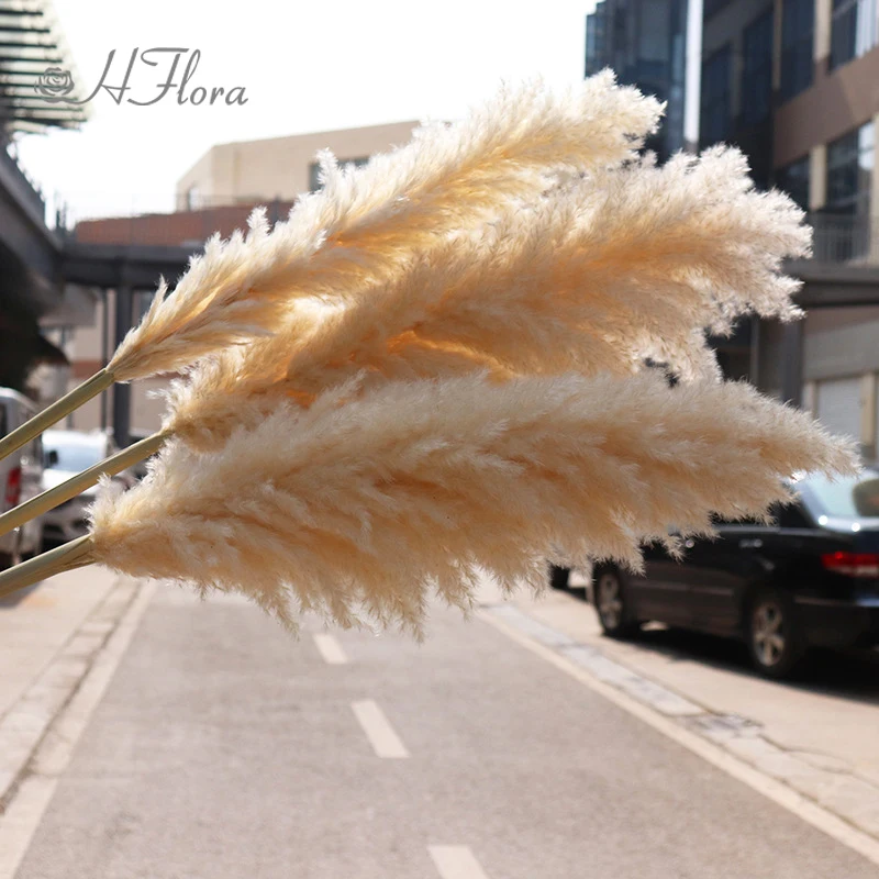 HFlora wholesale 47 inch tall large pampas grass fluffy natural dried flower original color reed pampas grass for boho decor