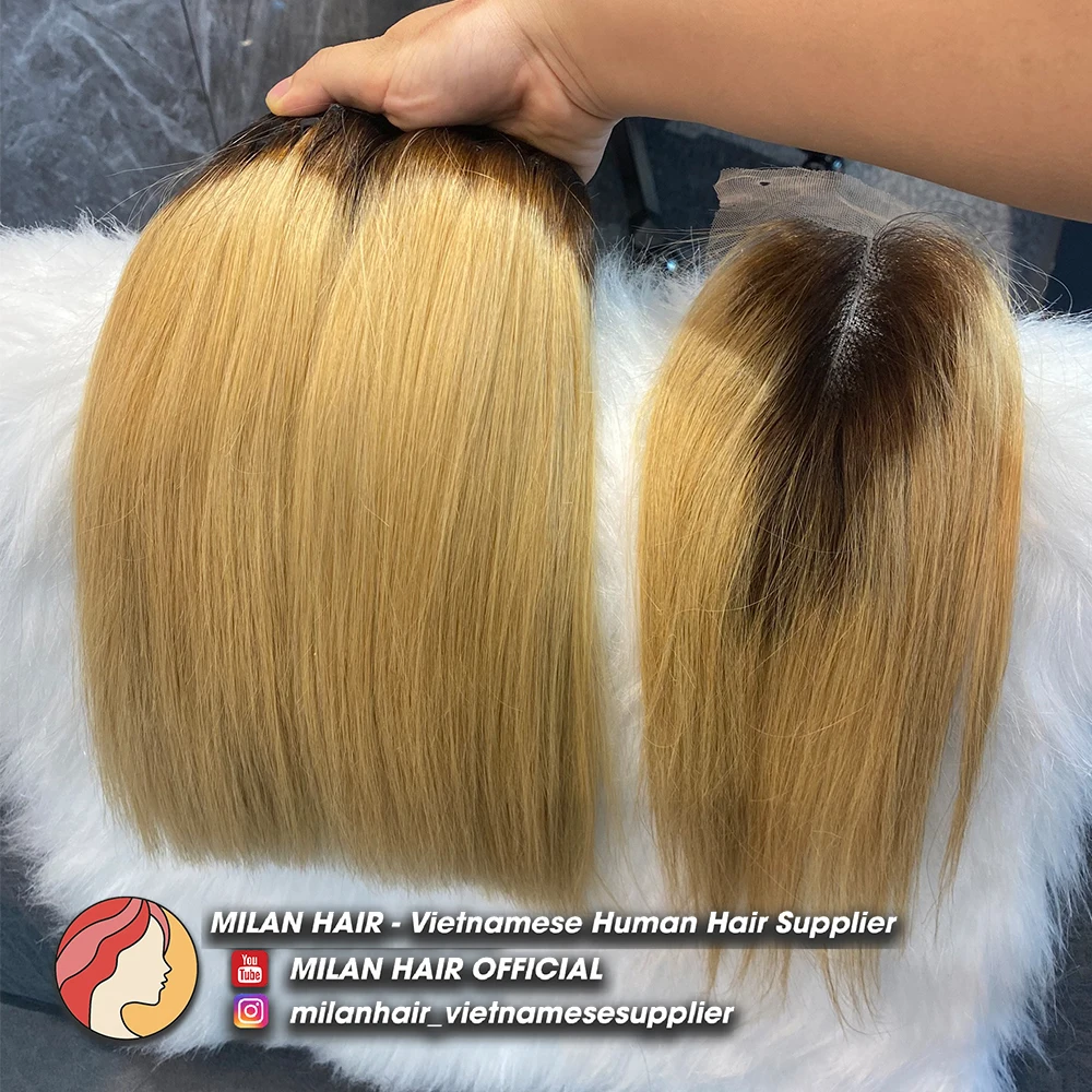 Color variety Vietnam human hair Ombre colored with Full Cuticle Aligned Hair From MILAN HAIR Vietnam