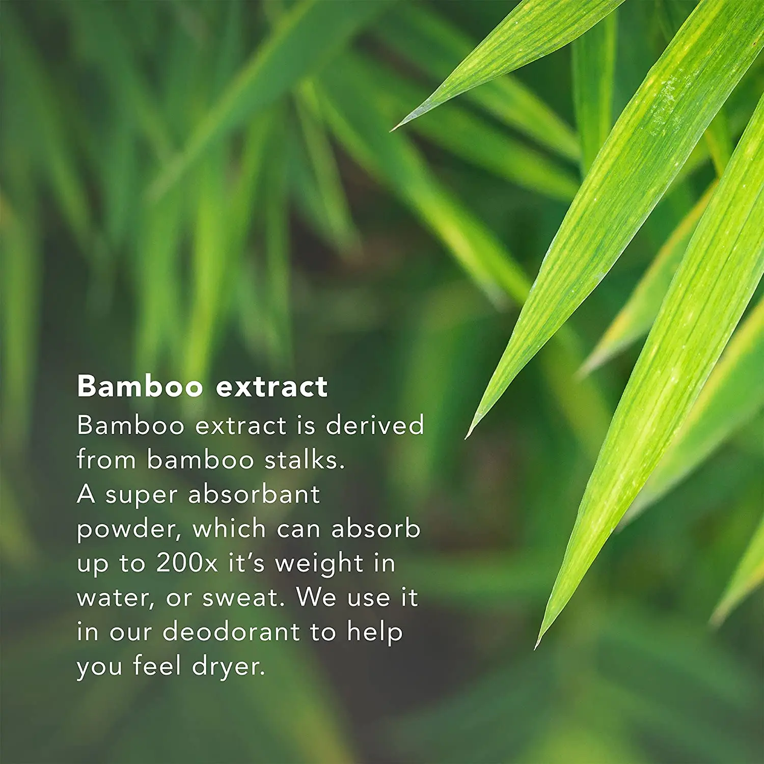 Plastic Aluminium Free Tube Natural Deodorant Arm Hammer Solid Deodorant Stick for Men  Women