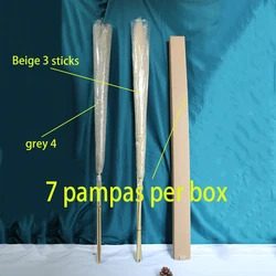 AA-5 2022 New Arrivals Amazon 7 Sticks Natural Decorative Flowers Dried Flower Artificial Flowers Large Pampas Pampa Grass