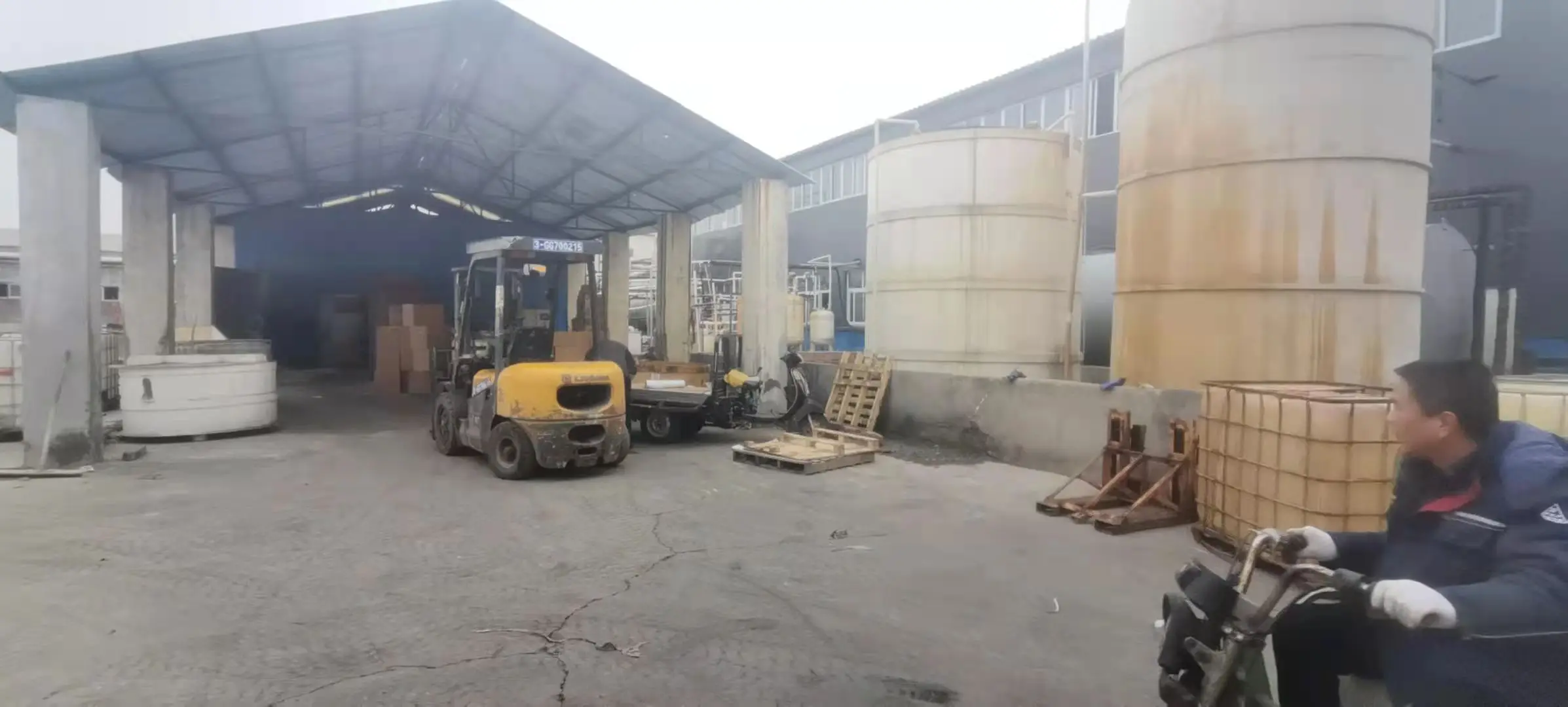 
Anti-Aging Cranberry Extract Proanthocyanidins Anthocyanins 