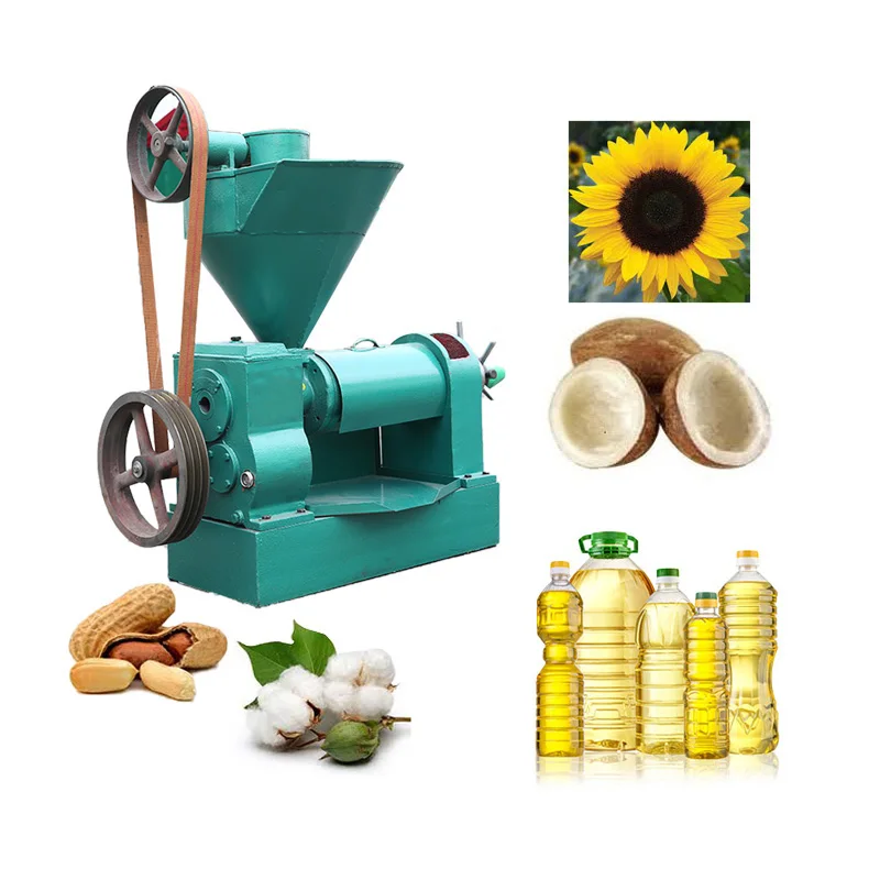 1.3 TPD multifunctional soy bean small olive oil press machine for sale