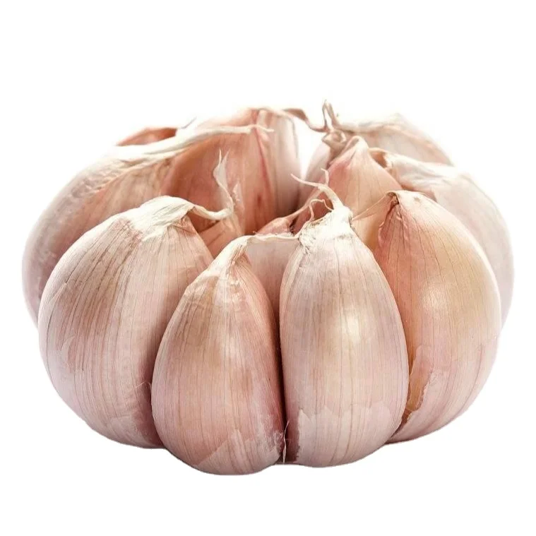 garlic bulk garlic china garlic box 10kg