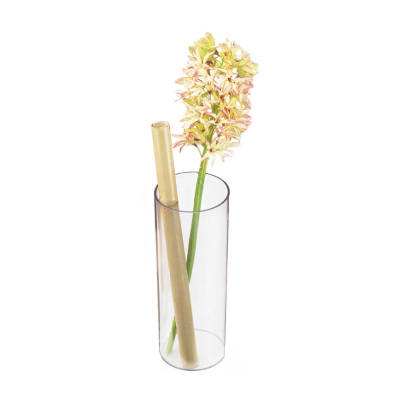 Minimalist Acrylic Round Tube Flower Vase Vertical Tube Hydroponic Plant Container for Wedding Centerpiece Cylinder Floral Vase