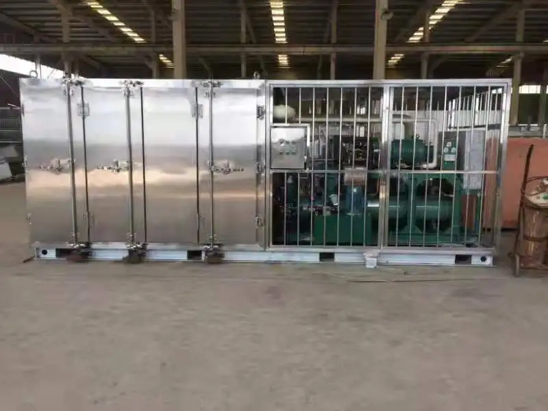 500kg 1000kg 1ton fast freezing upright quick shock blast freezer for sale