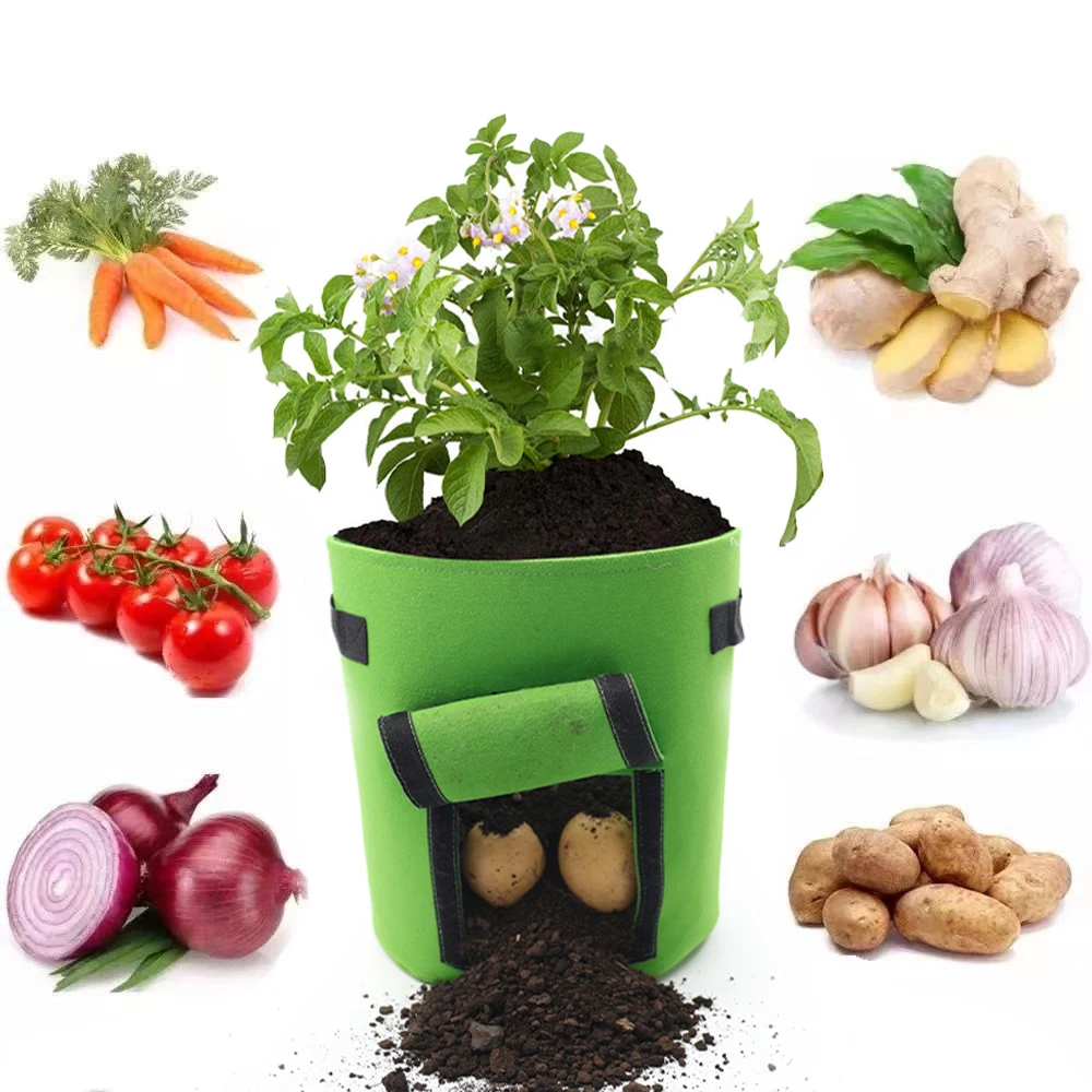 Garden plant mango felt potato grow bag  felt grow pot for organic flower mushroom tomato 10 45 50 100 200 gallon