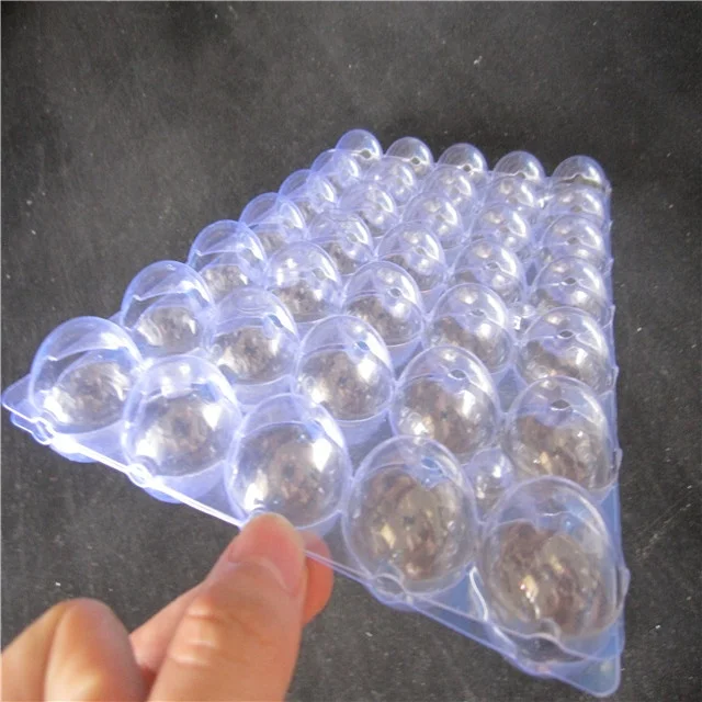 Vacuum Forming Greenhouse Seedling Germination Tray Wholesale Propagation Box Nursery Tray Garden Seed Sprouted Tray With Lid