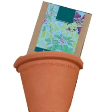 SURVIVAL SEED KITS -Pottery Gardeners Gift Box (3 Pots)