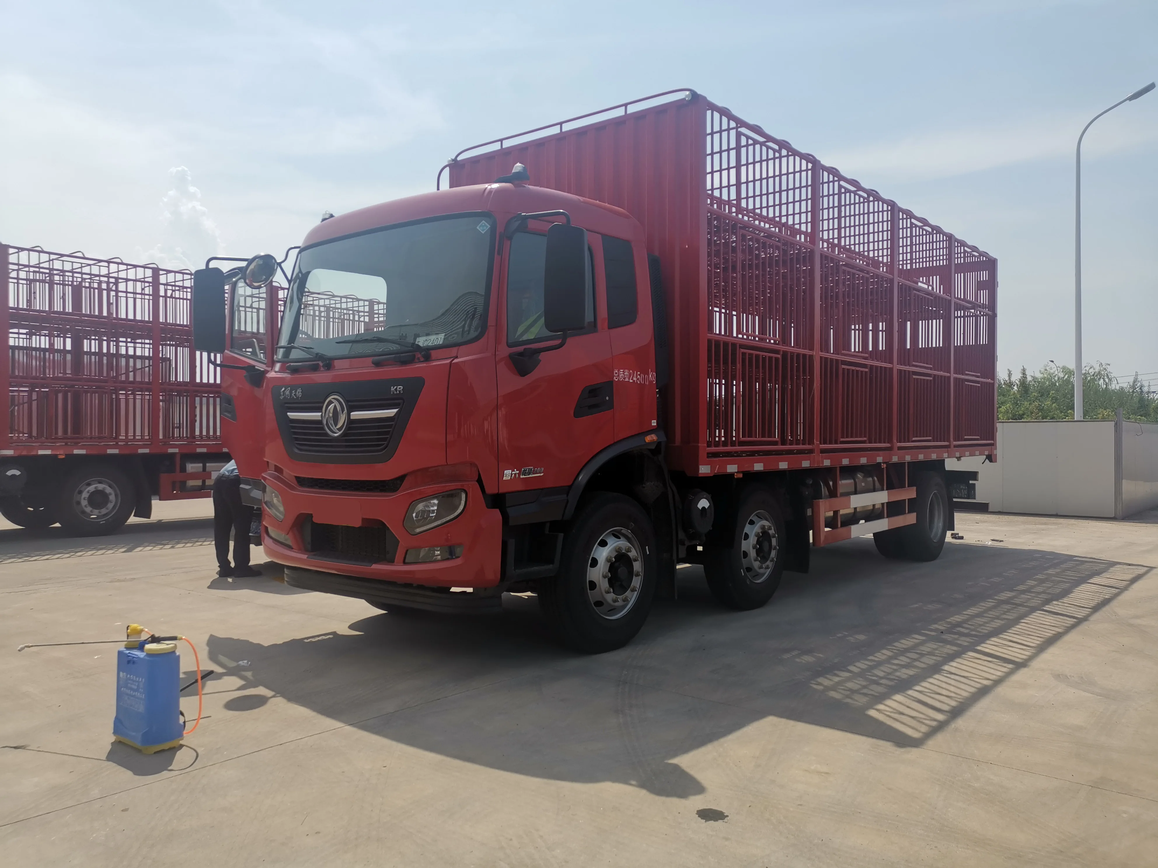 Xinbaiqin Dongfeng шасси 6x2 грузовик для транспортировки свиней