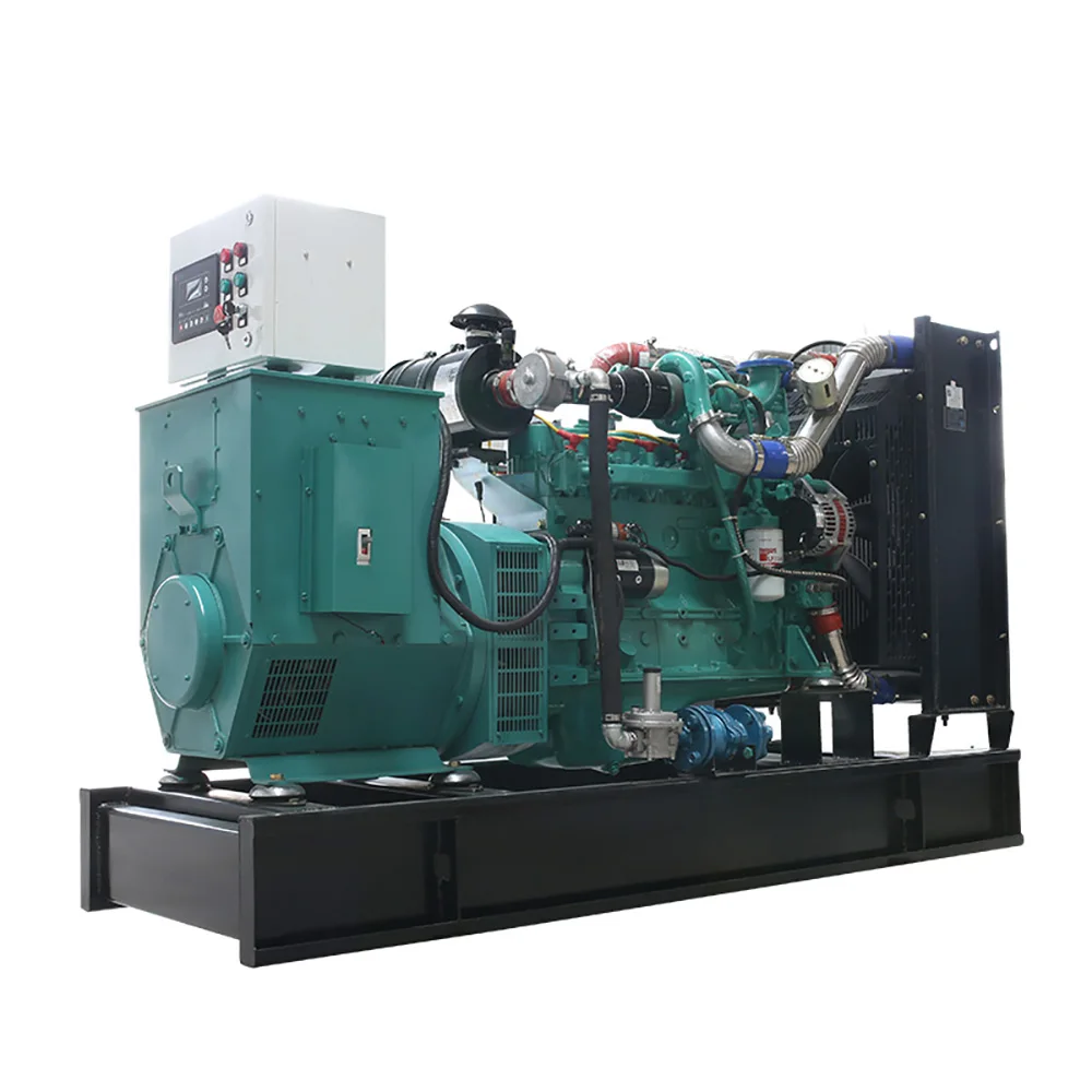 Factory price cheap small biomass gasifier wood steam power generator