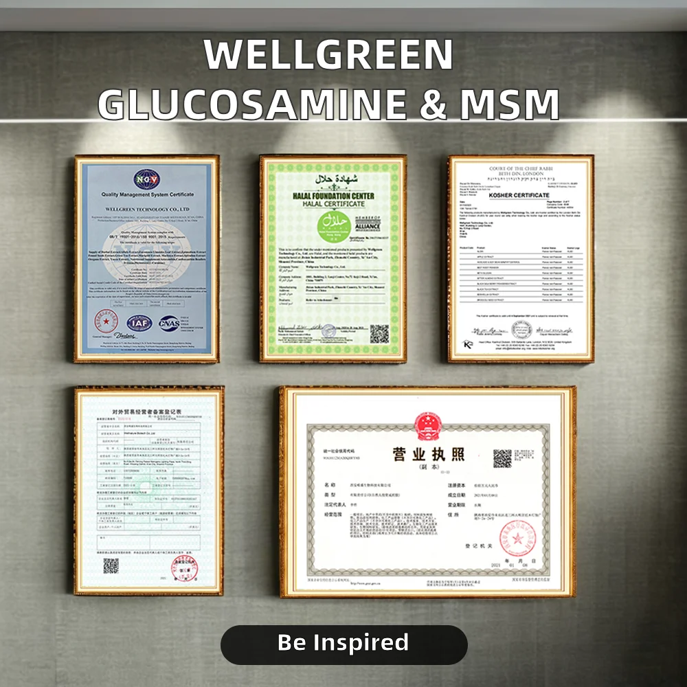 Chondroitin Sulfate Sodium powder adult health supplements cosmetic raw materials