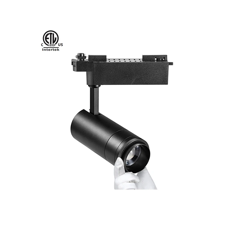 Leica B Zoom Sell Well Aluminum ETL CE UKCA SAA CRI90 CRI97 Black White 20W 30W led cob track light For Art Gallery