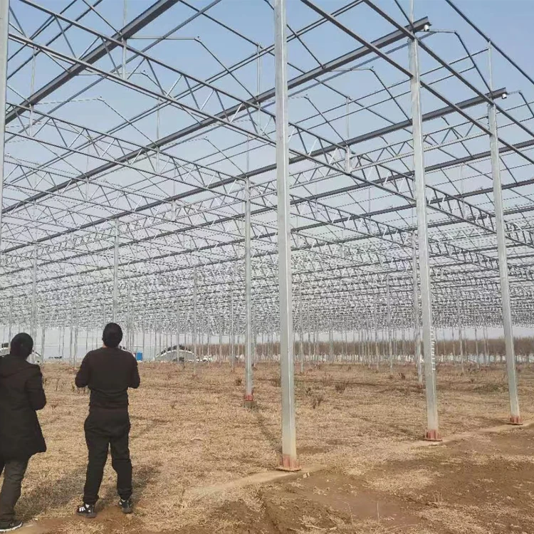 Сельскохозяйственная большая оцинкованная стальная рама, многопролетные стеклянные теплицы
