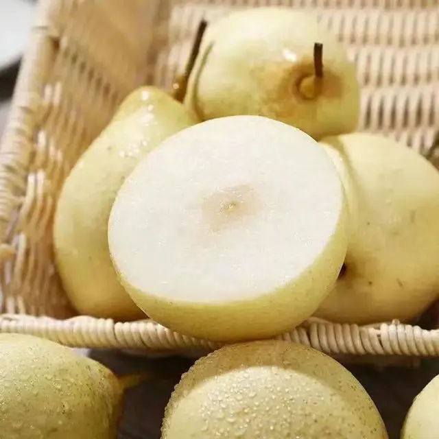 Ya Pear,China orginal fresh fruit