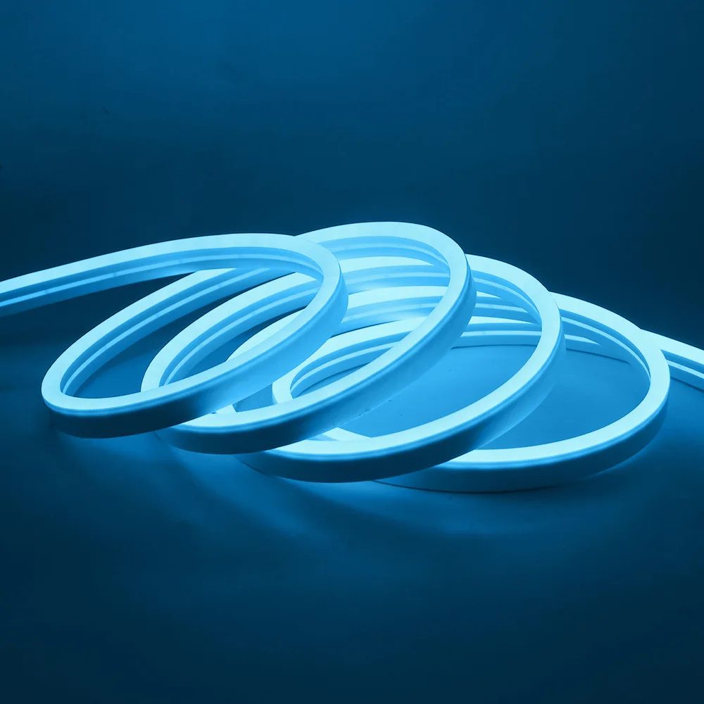 Neon Light With 5V 12V 24V Outdoor Special Silicone Flexible Soft Light Led Flexible Neon Lights