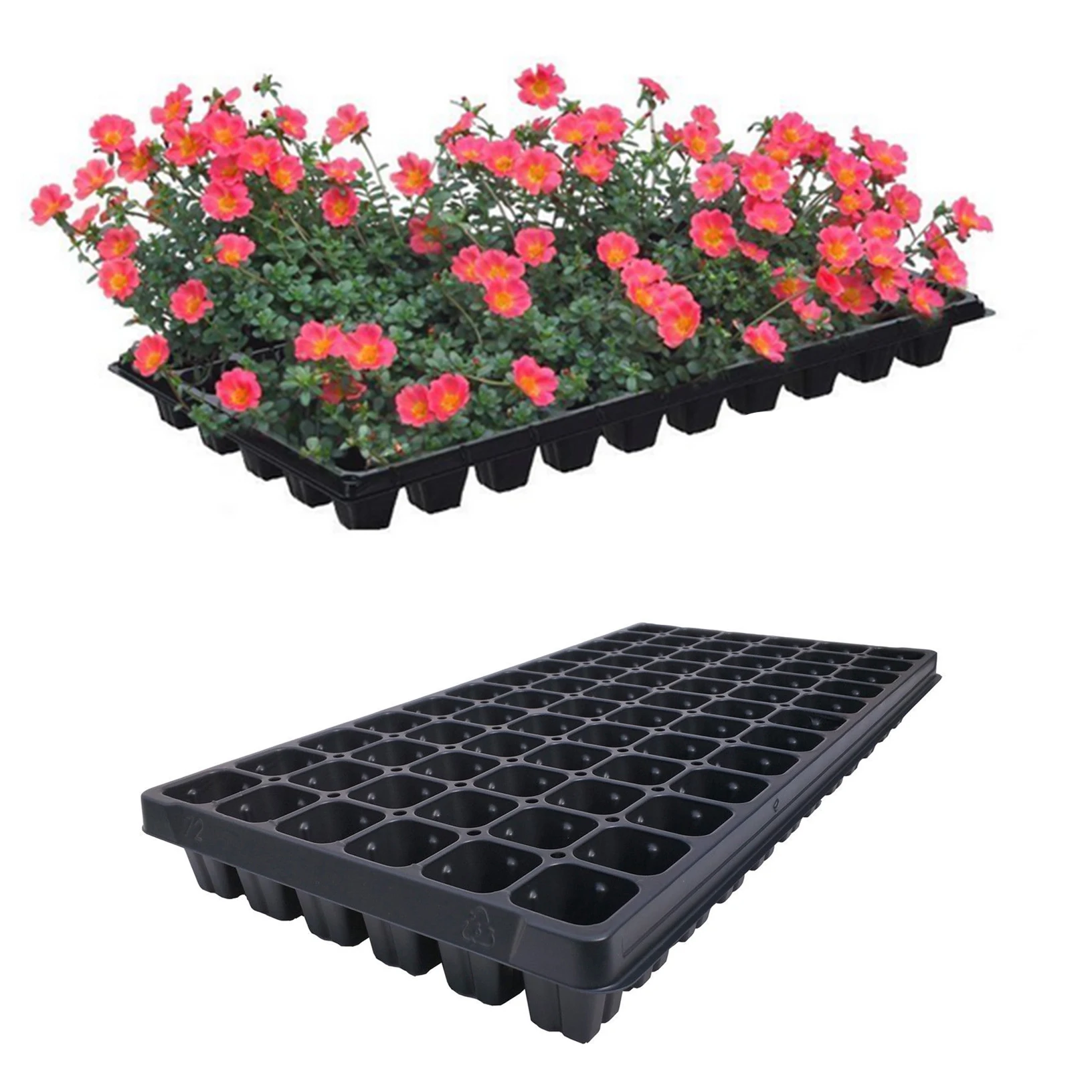 50 Cells PS Seedling Starting Grow Germination Trays for Greenhouse Vegetables Nursery