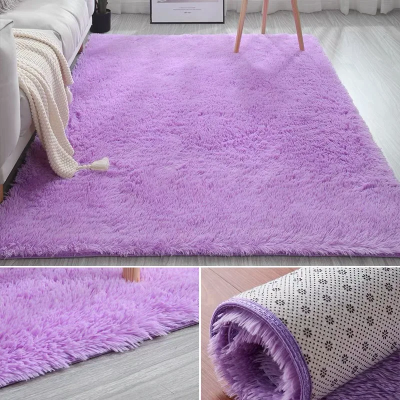  Area rug and Fluffy Carpet Rugs living room floor