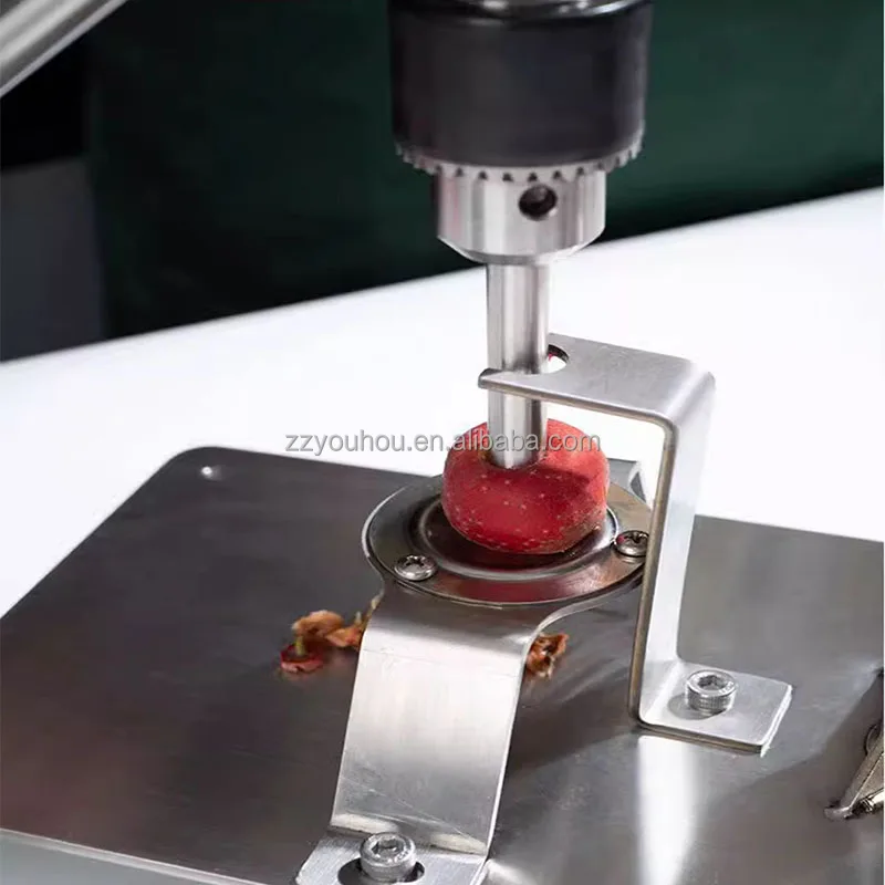 Easy operation manual hawthorn core remove olive pitter red dates pitting machine tools green dates