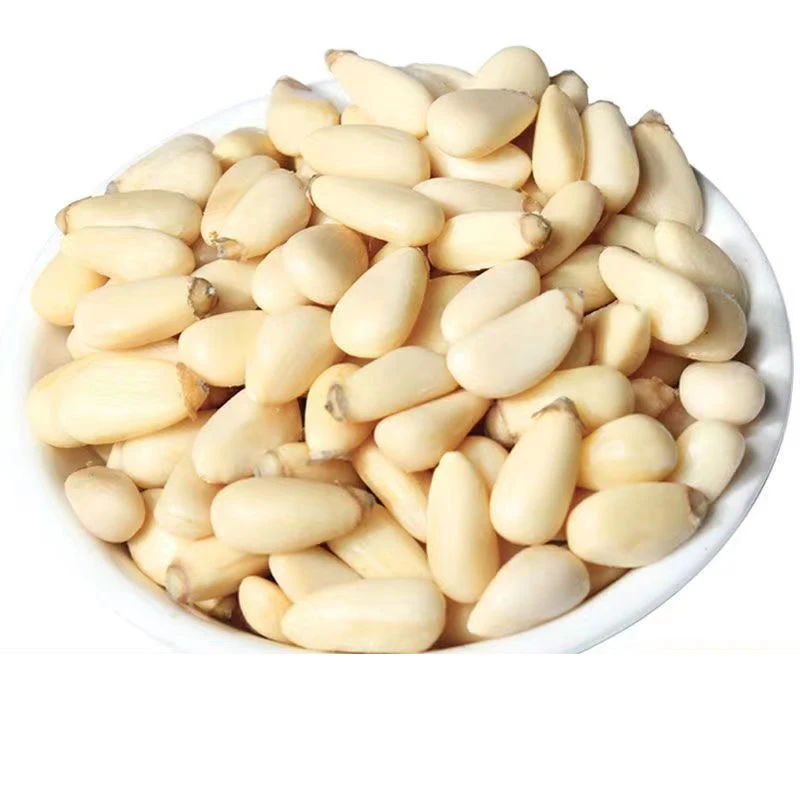 Edible White Colour Blanched Cedar Siberica Big Size Pine Nuts Kernels