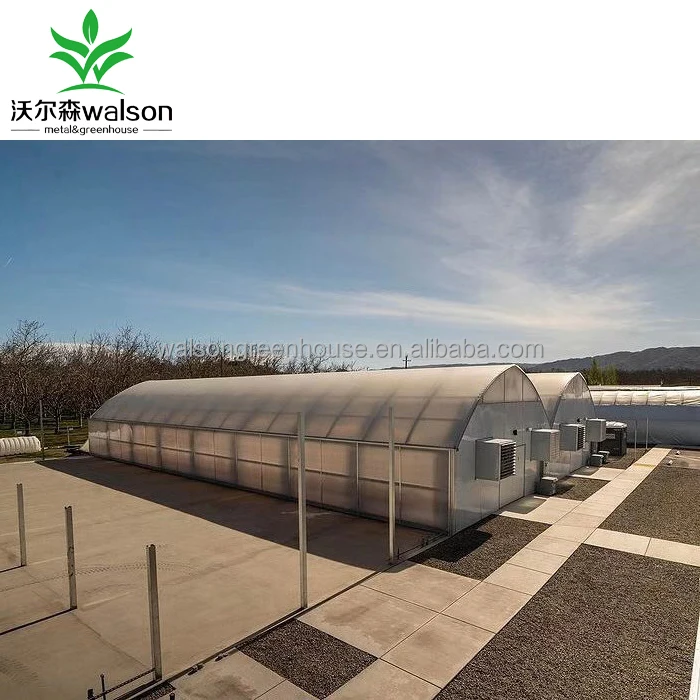 Walson 3 Layer Greenhouse Light Curtain 100% Light Proof Gutter Connected Greenhouse 32x9m Automatic Black Out System Greenhouse
