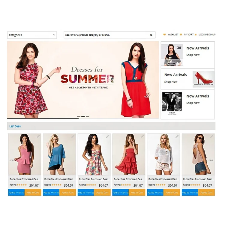 Website Development and Designing Service APP Provider Professional Website Design SEO Service