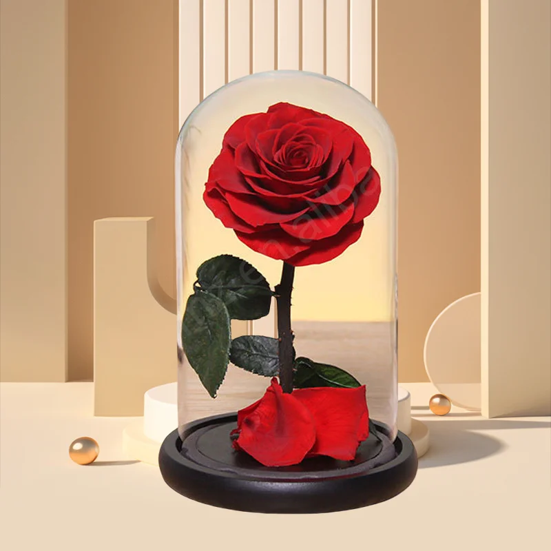 Factory Directly Supply 2024 Hot Selling Eternal Rose Morthers Day Preserved Flower Forever Roses In Glass Dome Led