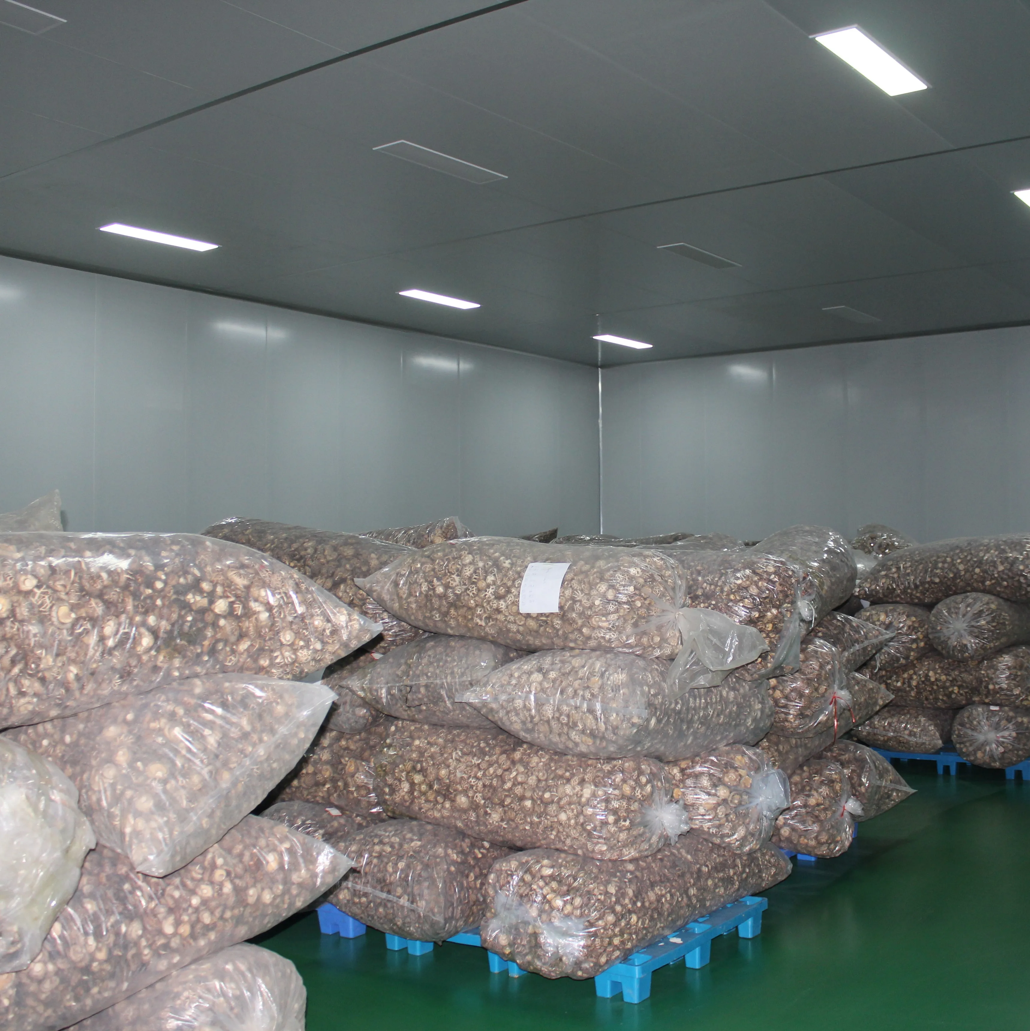 
hot sale dried shiitake mushroom organic heathy 