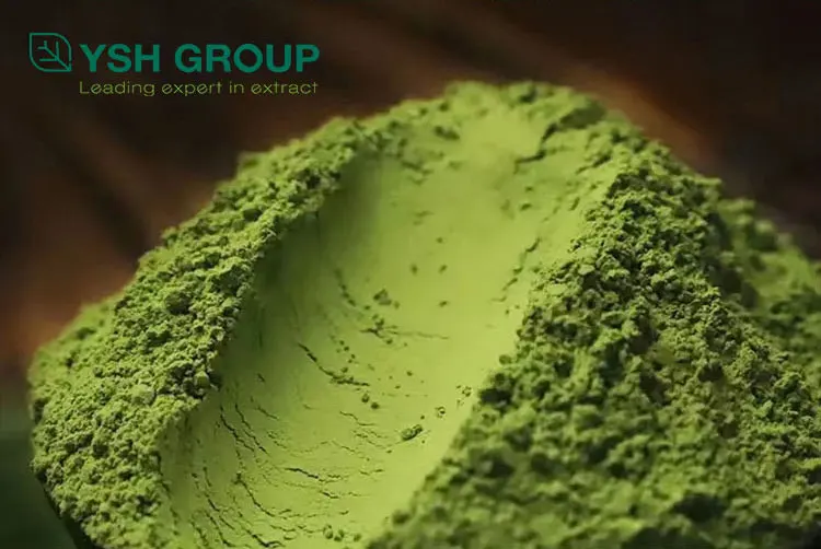 Wholesale Bulk Matcha Green Tea Ice Cream Powder Customize Oragnic Health Pure Matcha Green Tea Powder For Drink
