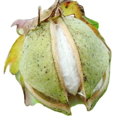 
 Лучшее качество, органические пестициды HaNPV + Bt, эффективный контроль хлопкового червя  