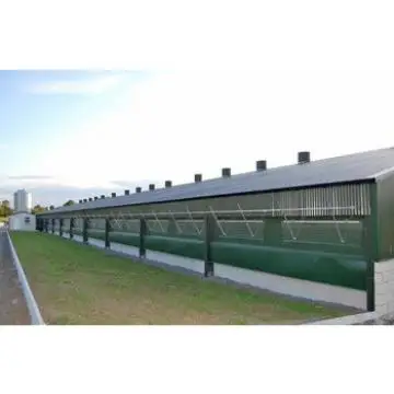 Hot selling prefab layer chicken houses steel structure automatic poultry farm equipment