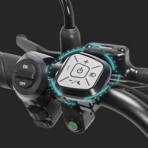 Electric Bicycle 2000W Central Motor 60Km/H Speed Suron Road E Bike Mid Drive Motor Electric Dirt Bikes For Adults