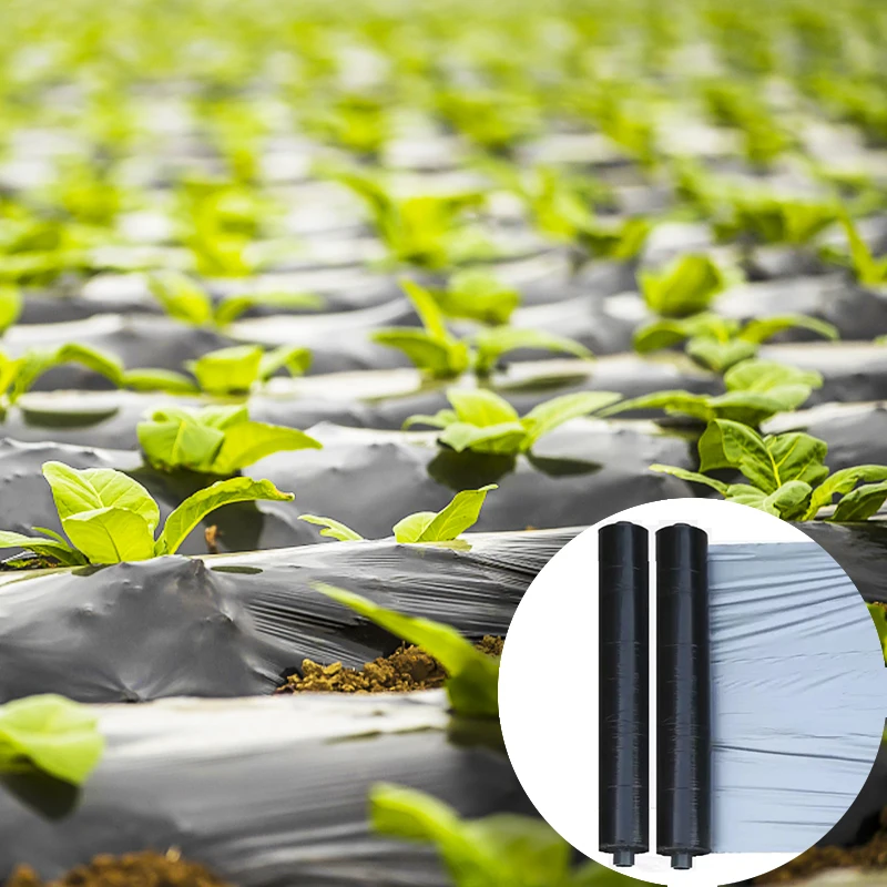 Wholesale Farm Vinyl Cover Film Handmade Plant Mulch 100% Polypropylene Mulch
