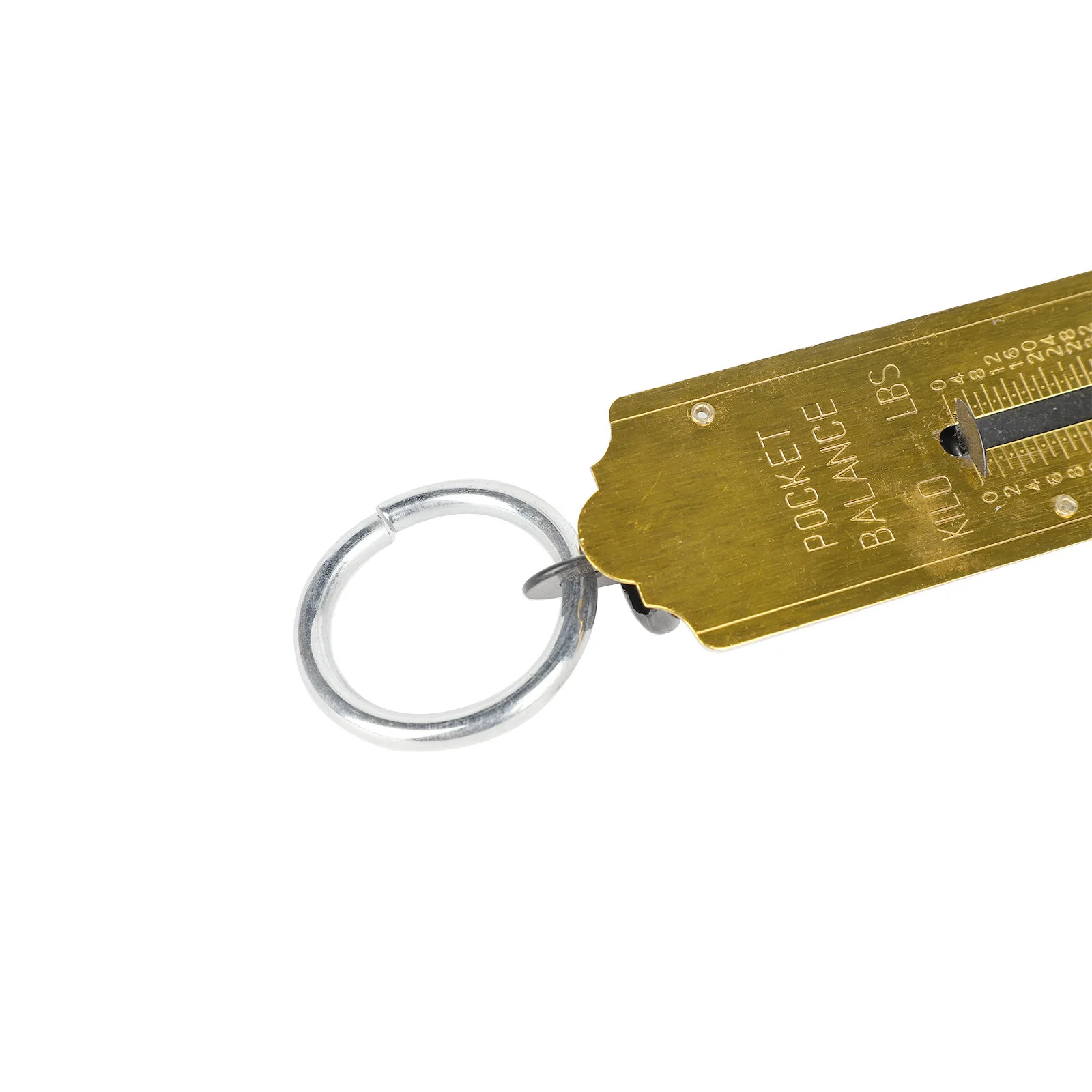 Travel Spring Balane Fish, Scale Hanging Spring Scale/