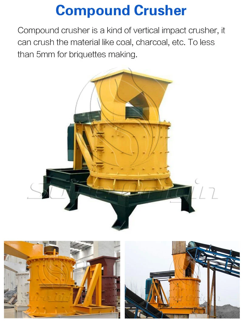 petite machine de fabrication de briquettes de charbon de bois