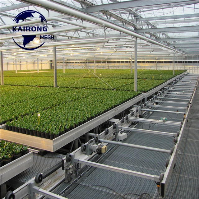 Water-Saving And High-Efficiency For Tomato/Lettuces/Strawberries And Celery Benches Rolling Seed Bed For Seedling