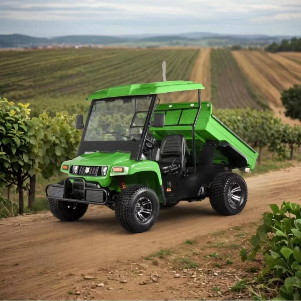 Мощный внедорожник 4WD Электрический мини-Джип Utv Электромобиль используемый на ферме