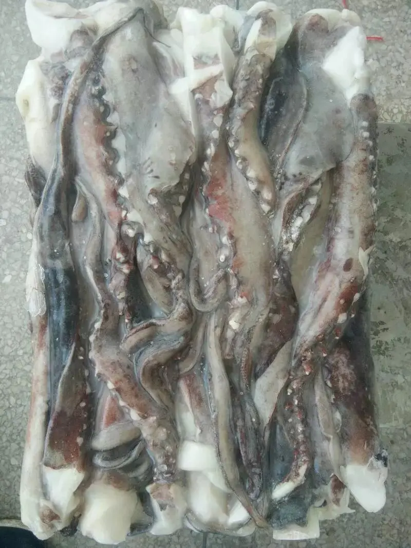 Peru Origin Factory price Export Thailand Frozen Giant Squid Tentacles