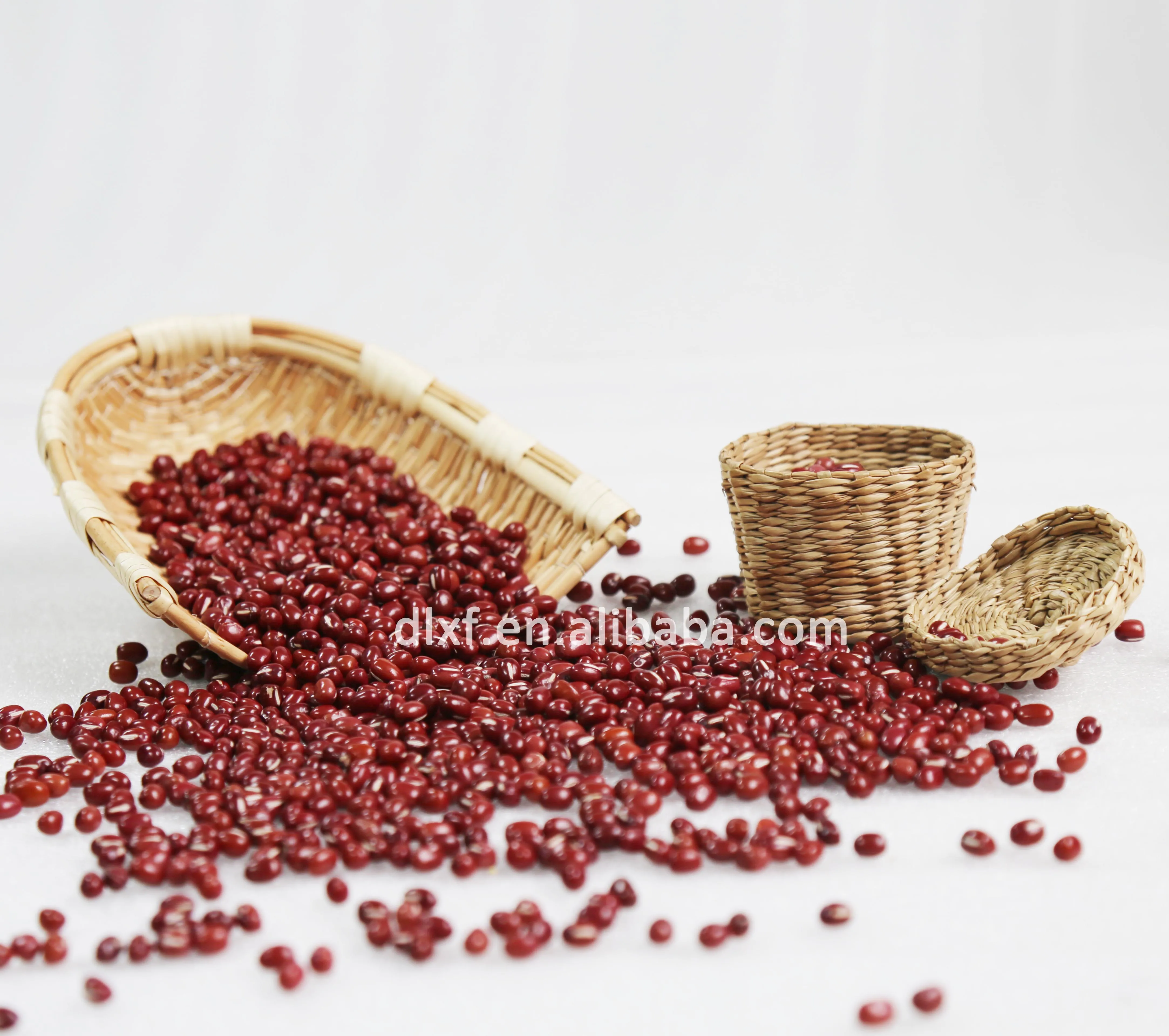 Adzuki bean China good taste good quality small red bean for sale